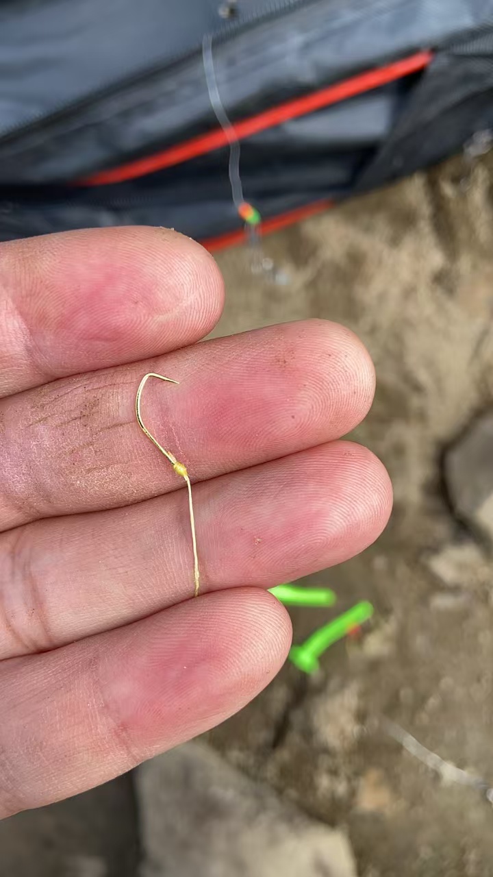 拉直鱼钩后逃走的大鲤鱼
